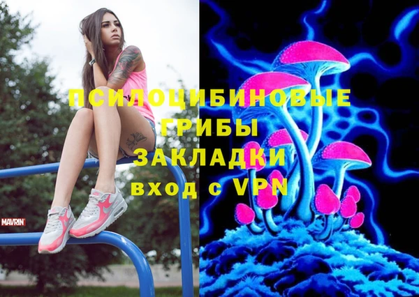 трава Бородино
