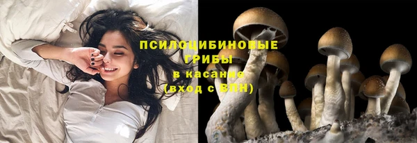 трава Бородино