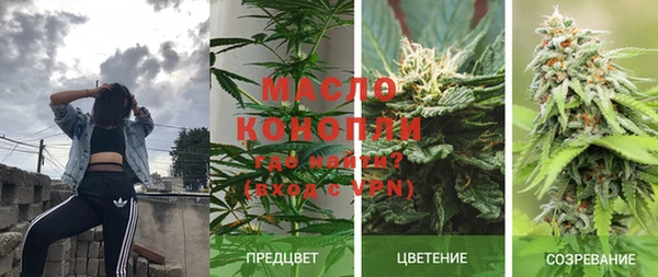 трава Бородино