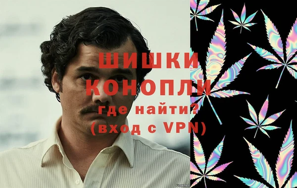 трава Бородино