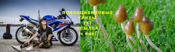 MDMA Premium VHQ Бронницы