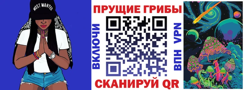 Купить где  Алексин  Галлюциногенные грибы Magic Shrooms 